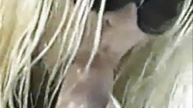 Adulto sem registo  Lily excitada ver filme de pornô a esconder-se do relógio anal Lily
