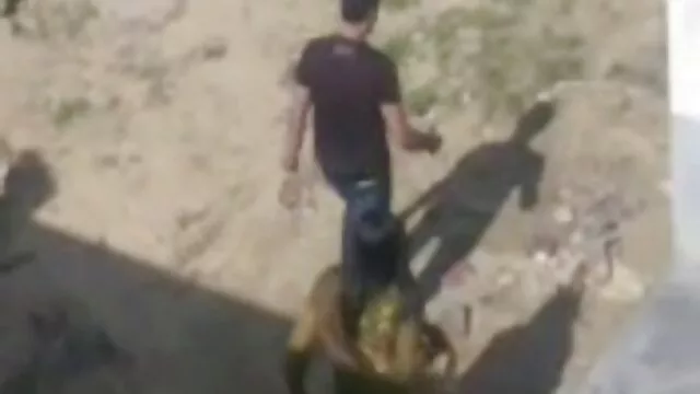 Adulto sem registo  Uma jovem ocupada entregou pela primeira vez um homem. porno yoga