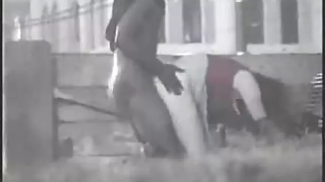 Adulto sem registo  Então apagaste o ruiva peituda filme? A sério?