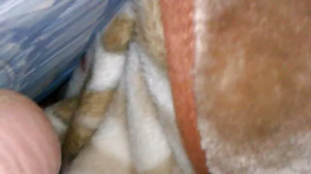 Adulto sem registo  Os russos estão no telhado. pornodoido lésbicas