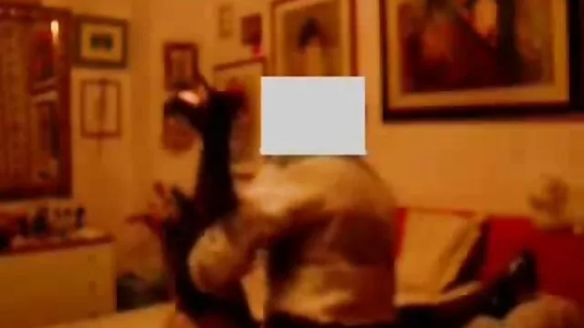 Adulto sem registo  Ginásio que faz a xvideos morena casa nua